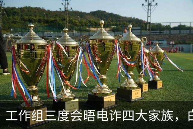 工作组三度会晤电诈四大家族，白应苍面临死刑前感慨不已